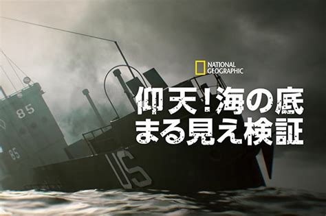 【tv番組無料配信】仰天！海の底まる見え検証 2 ナショナル ジオグラフィック日本版サイト