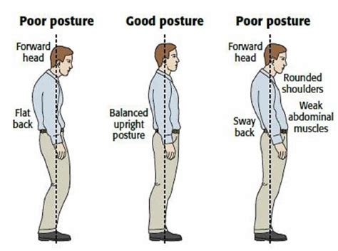 Correct Posture Is A Crucial Step In Growing Taller Fanz Live