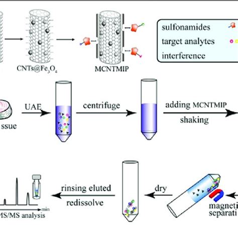 Relative Occurrence Of The Various Samples Pretreatment Methods