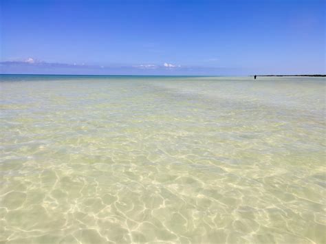 Punta Cocos O Punta Mosquito Cu L Es Mejor Visitar En Holbox