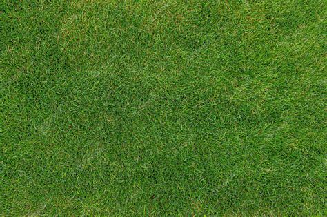 Premium Photo Football Field Grass Texture Green Lawn Natural Background