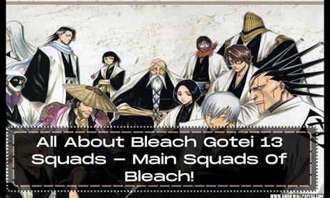 All About Bleach Gotei 13 Squads Main Squads Of Bleach Anime