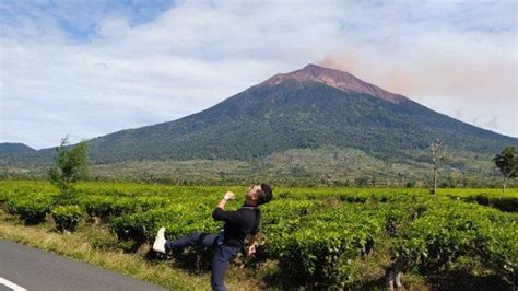 Panorama Perkebunan Teh Kayu Aro Kerinci Hunting Foto Berlatar