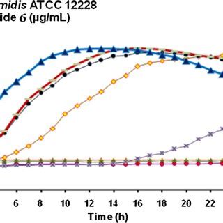 Antibiofilm Effect Of Different Concentrations Of Amino Acid Peptide