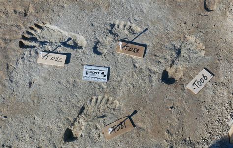 Footprints In New Mexico Are Oldest Evidence Of Humans In The Americas