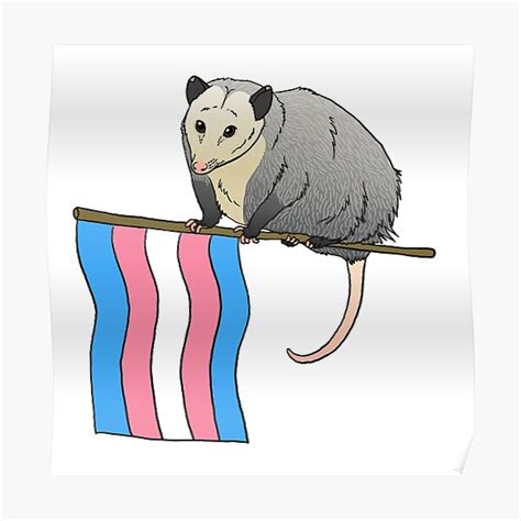 Trans Pride Opossum Poster For Sale By Feien Redbubble