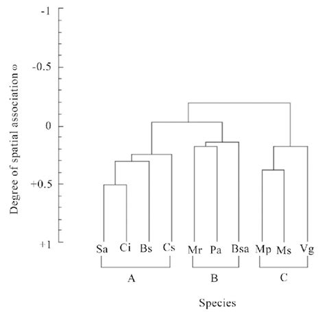 Cluster Diagram Showing Species Spatial Association See Table 1 Download Scientific Diagram