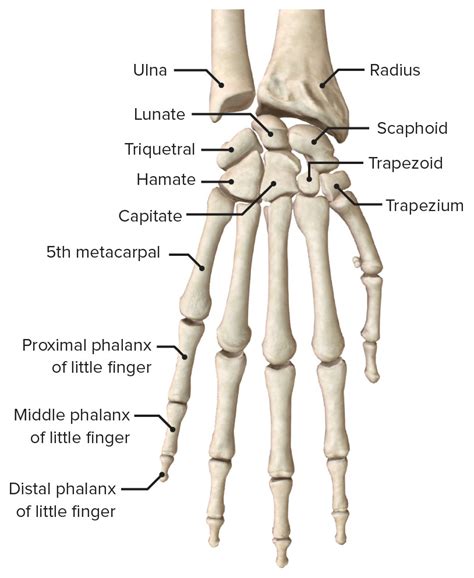 M O Concise Medical Knowledge