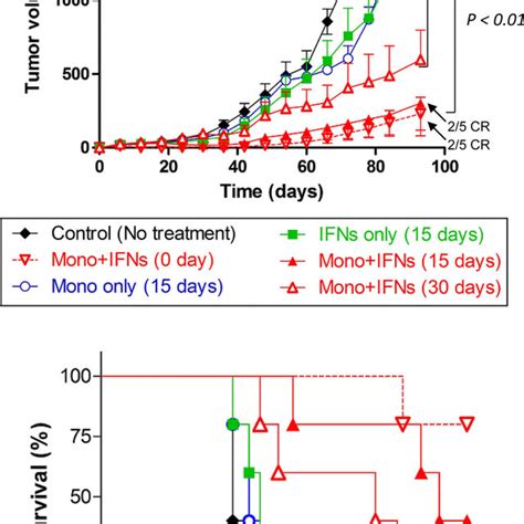 Combination therapy with monocytes and IFNs reduced LOX melanoma tumor... | Download Scientific ...