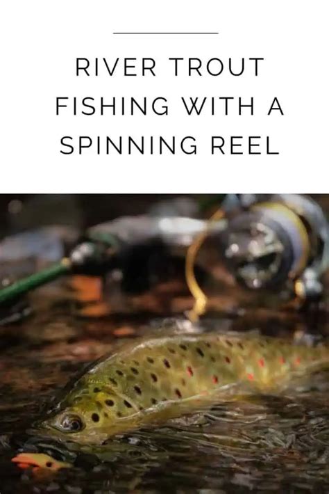 Mastering River Trout Fishing With A Spinning Reel Tips And Techniques