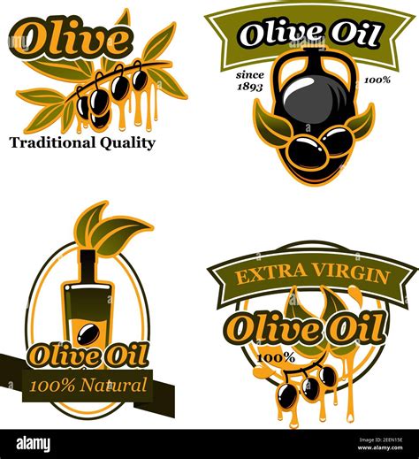 Olive oil extra virgin icons and symbols. Black olive fruit on branch ...