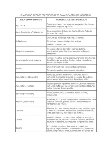 Cuadro de riesgos específicos por rama de actividad industrial PDF