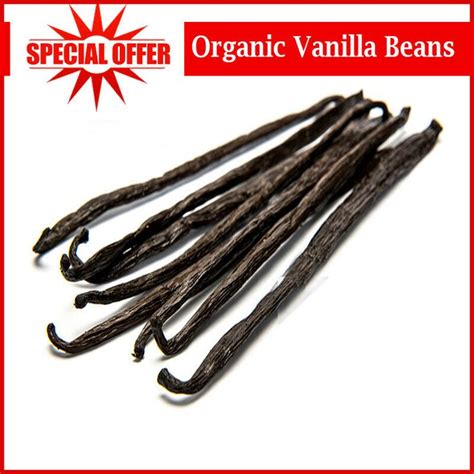 10G Extract Grade B Madagascar Bourbon Whole Vanilla Beans - Pods (5-7 ...