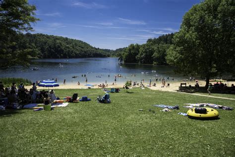 Beach And Cox Hollow Lake At Governor Dodge State Park Wisconsin Image