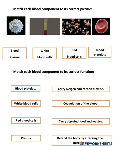 Blood Components Interactive Worksheet Live Worksheets Worksheets