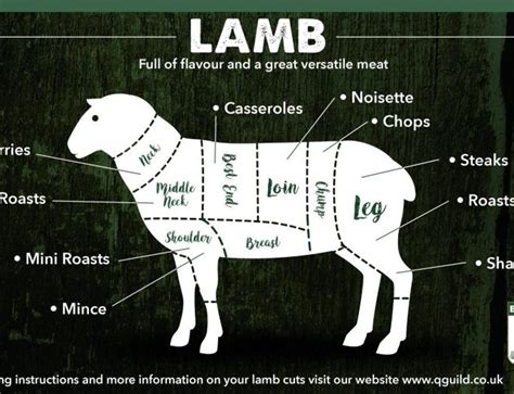 Know Your Cuts Lamb Qguild