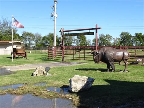 Walkabout With Wheels Blog A Visit To Aftons Buffalo Ranch