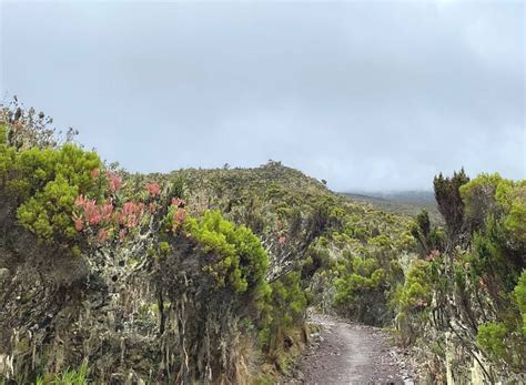 Days Kilimanjaro Trek Via Machame Route