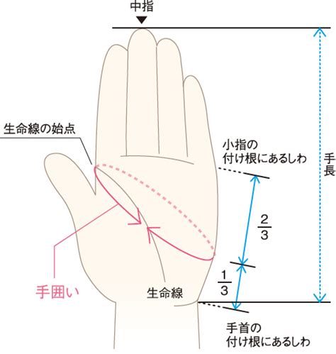 賢い選び方・マナー｜日本手袋工業組合