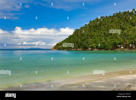 Sea And Beach With Coconut Palm On Haad Salat Beach In Koh Pangan