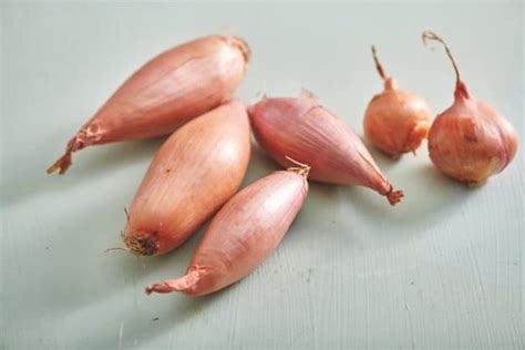 How To Cook With Shallots Shallot Recipes The Mom