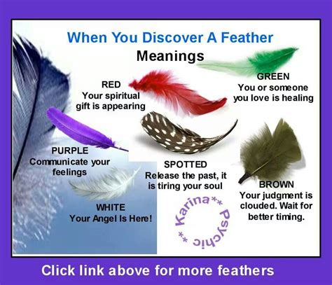 Meaning Of Feathers You Find Feather Magic Feather Art Feather Signs