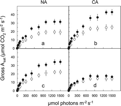 Light Response Curves Of Gross Co2 Assimilation At Either Ambient Open