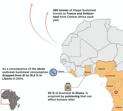 Mapping The African Bushmeat Crisis Earth Org