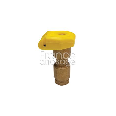 Clapet Vanne Bronze Compatible RAINBIRD 3 4 F