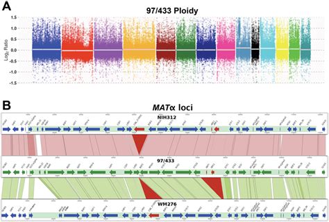 Genome Analysis Of A Copy Number Variation Analysis Of Next