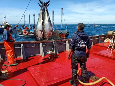 Conil Inaugura La Temporada De Pesca En Las Almadrabas At N Rojo