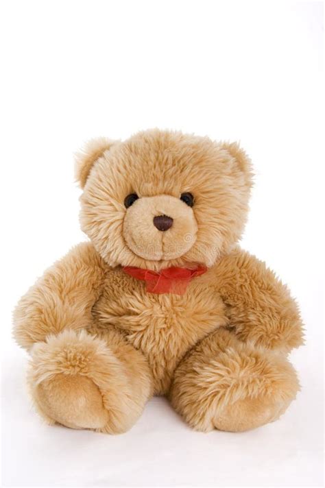 Amor Do Urso Da Peluche Foto De Stock Imagem De Fofo 3052034