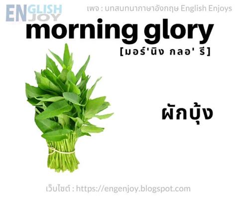 38 คำศัพท์ผักต่างๆ ภาษาอังกฤษ Vegetables