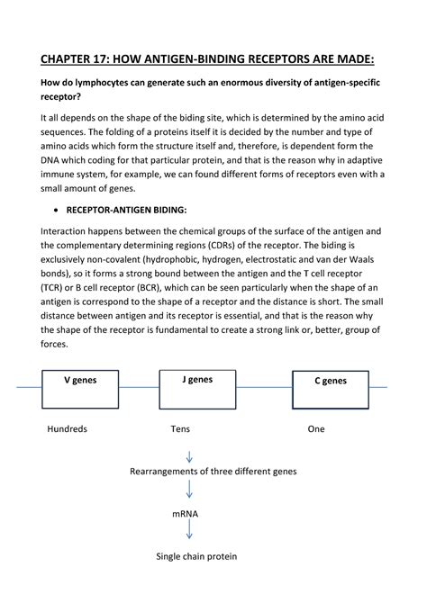 Chapter 17 Antigen Receptors Warning TT Undefined Function 32