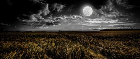 Full moon Wallpaper 4K, Grass field, Landscape, Night