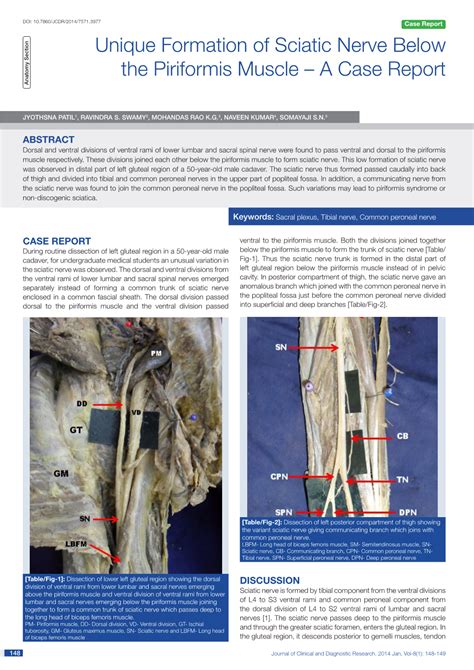 Unique Formation Of Sciatic Nerve Below The Piriformis Muscle A Case