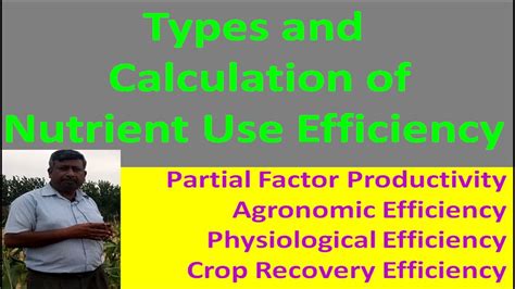 Types And Calculation Of Nutrient Use Efficiency Youtube