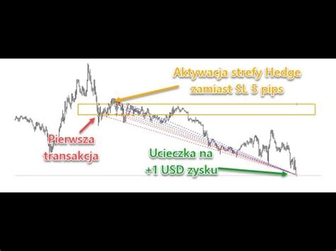 HEDGING FIBONACCIEGO forex kryptowaluty jak wyprowadzać stratne