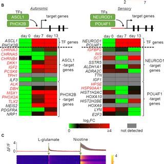 GRN And Bioinformatics Based Analysis Identifying Regulatory Candidate