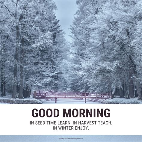 New Good Morning Winter Images With Quotes Artofit