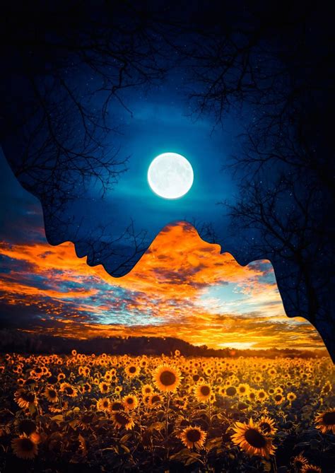 Duality Wallpapers - Top Free Duality Backgrounds - WallpaperAccess