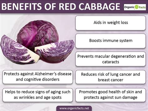 Benefits Of Red Cabbage