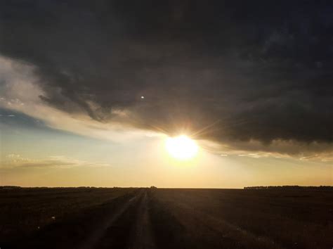 Banco De Imagens Colheita Campo Ver O Orelha C U Clima Cinzento