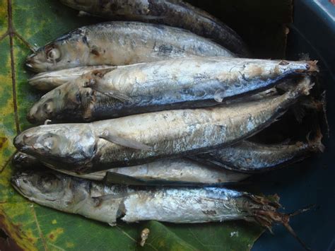 Tips Resep Cara Membuat Pindang Ikan Sederhana