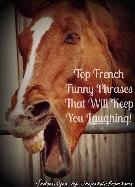 My List of 30 French Funny Phrases That Will Make You Laugh!