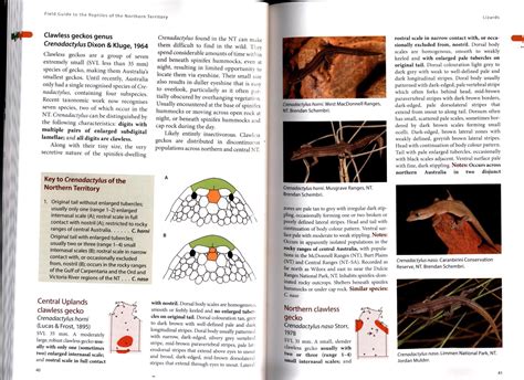 Field Guide To The Reptiles Of The Northern Territory Nokomis