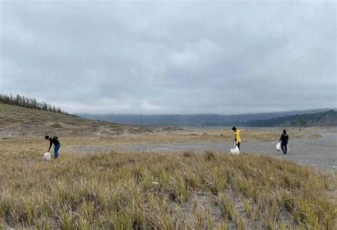 Wisatawan Dilarang Berkemah Di Gunung Bromo Begini Alasannya News