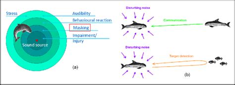 A The Different Effects Of Noise On A Marine Mammal B Schematic Download Scientific