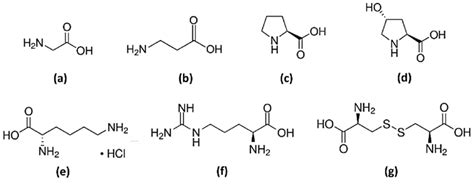 Chemical Structures Of Amino Acids A Glycine Gly B β Alanine