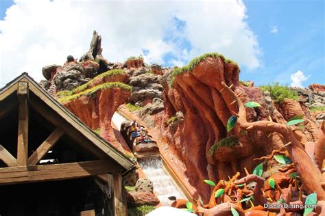 Splash Mountain Drop Angle